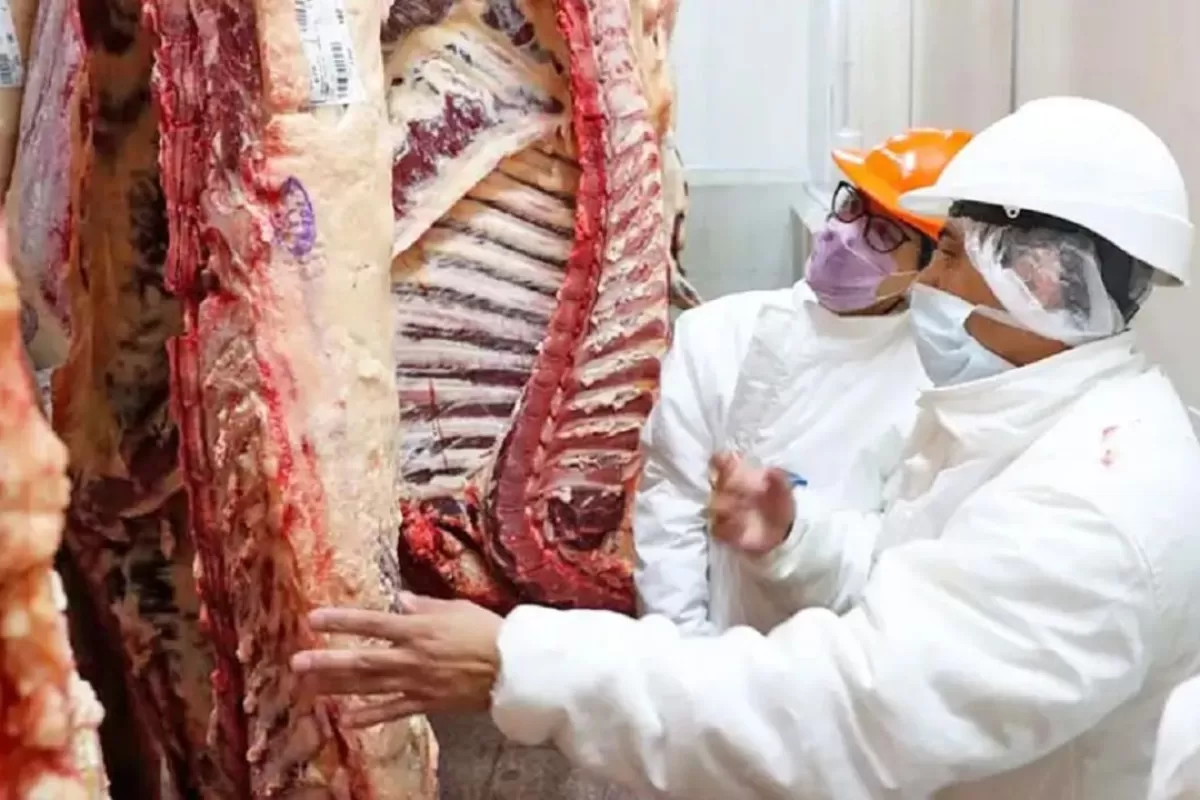 China impone arancel del 55% y cupos a la carne vacuna: impacto directo para Argentina