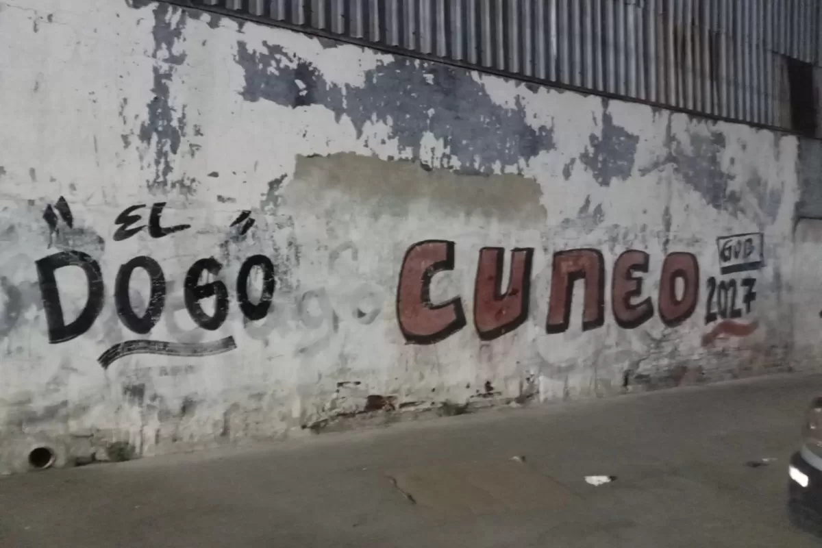 VIDEO | Aparecen pintadas en municipios bonaerenses que promueven a Santiago C&uacute;neo como candidato a gobernador