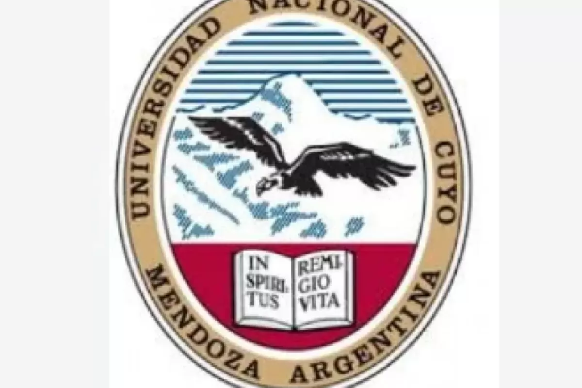 Formaci&oacute;n docente universitaria sin costo ni frontera