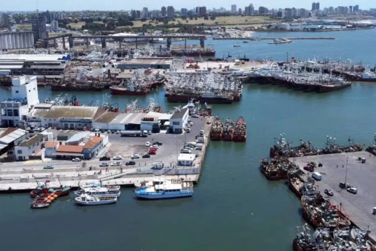 Mar del Plata enfrenta otra vez la sombra de la contaminaci&oacute;n de las harineras del puerto