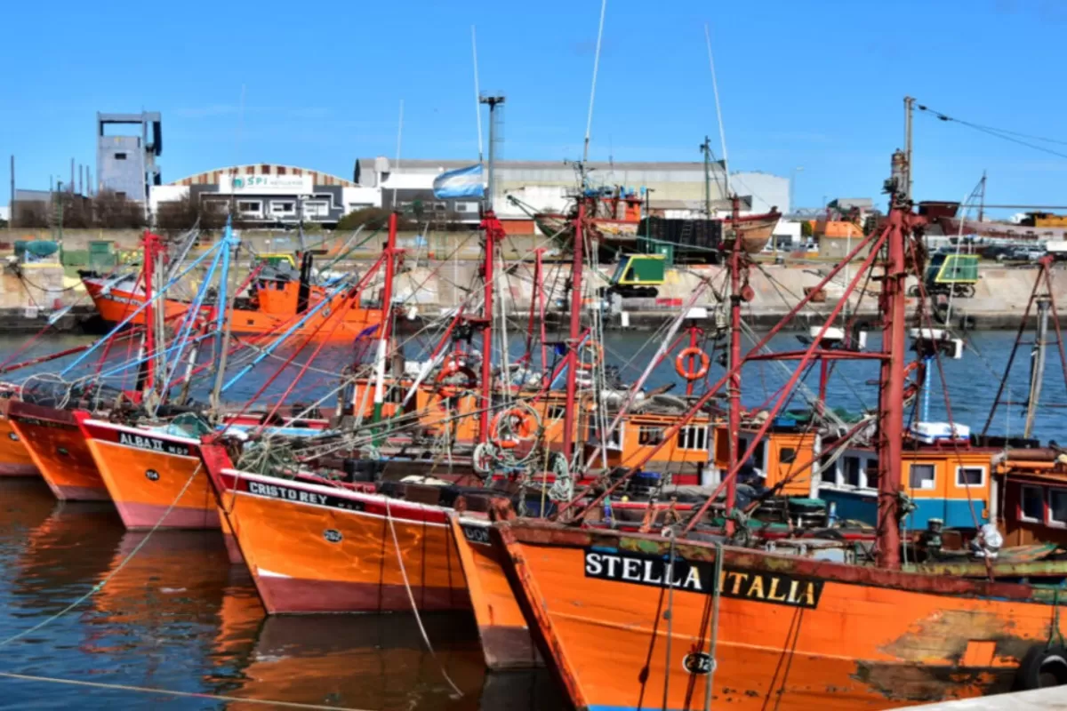 Un informe t&eacute;cnico advierte que en Mar del Plata la trimetilamina podr&iacute;a derivar en compuestos de mayor toxicidad