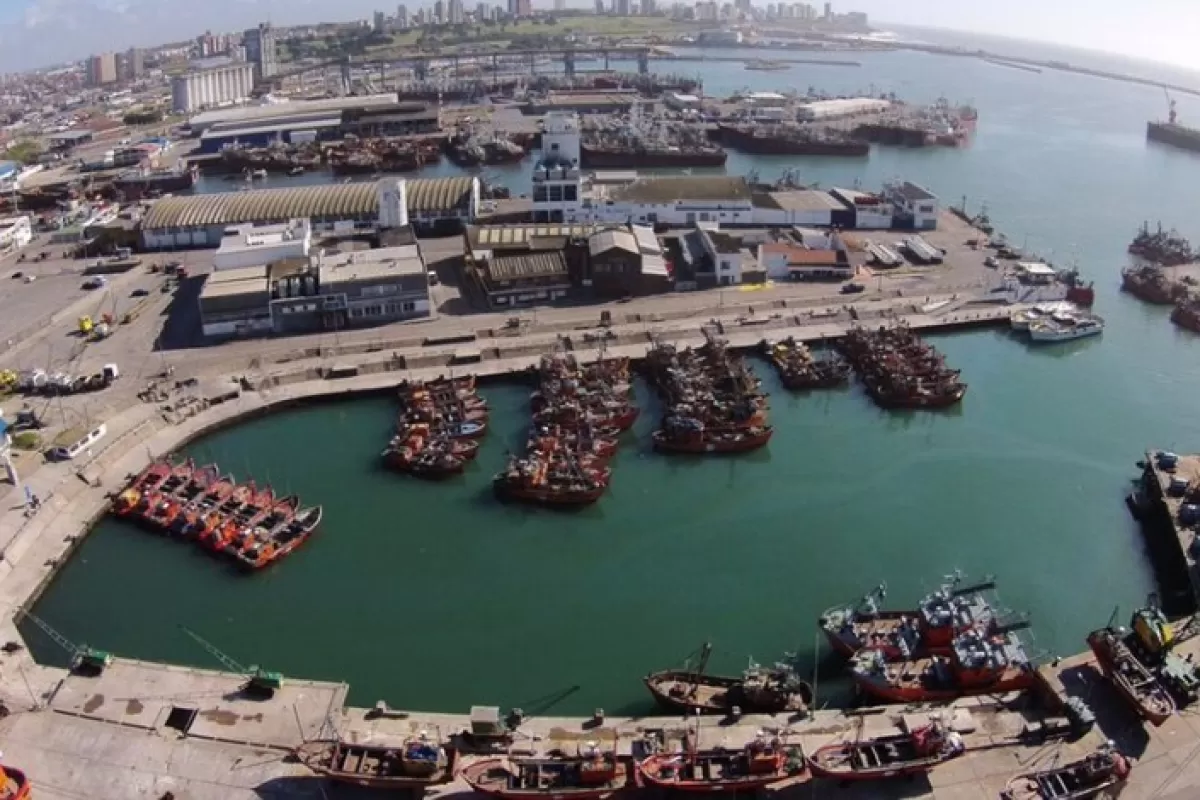 Detectan en el Puerto de Mar del Plata niveles extremos de un contaminante ligado a la actividad pesquera