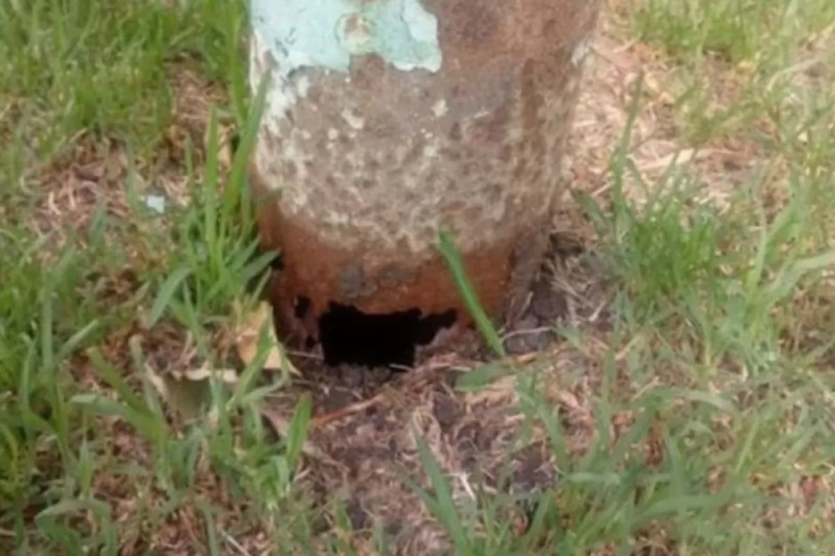 Determinan responsabilidad del municipio de Mar del Plata por el colapso de un poste que destruy&oacute; parte de un auto