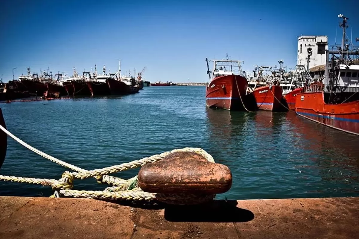 Niveles de cobre y zinc detectados en Mar del Plata reavivan sospechas sobre contaminaci&oacute;n portuaria