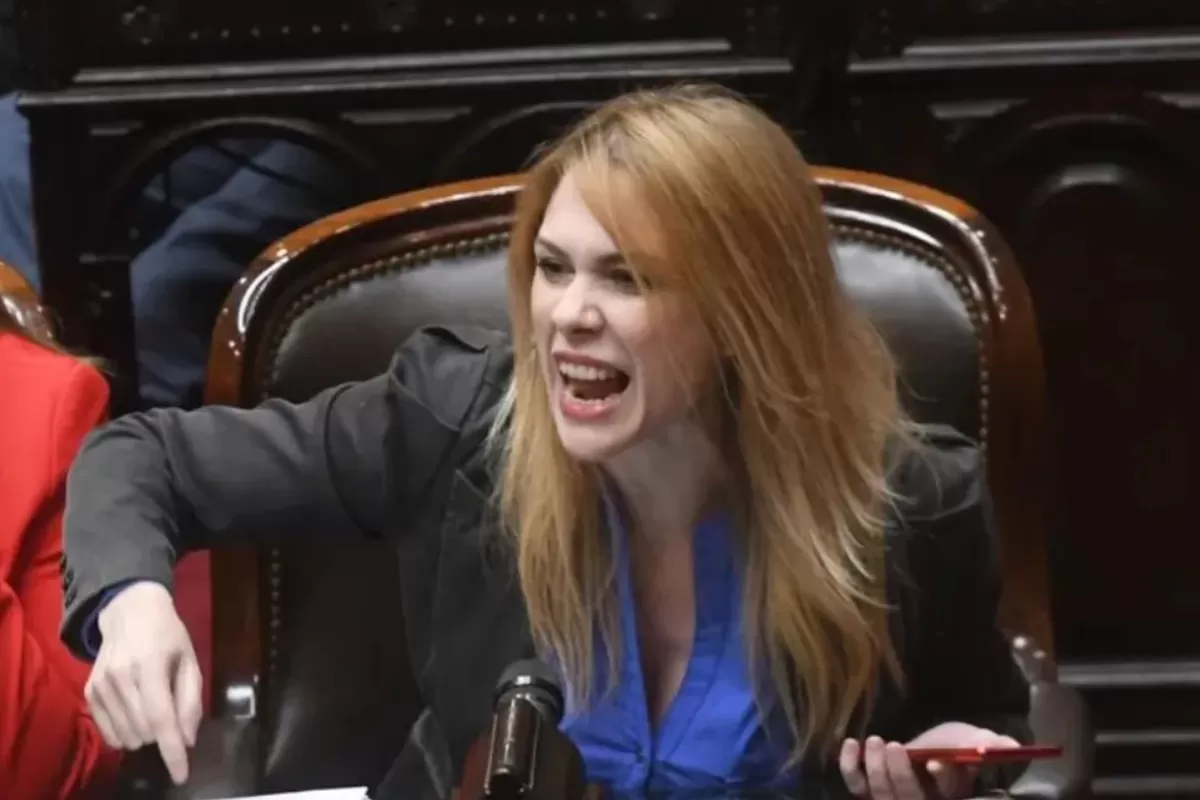 Error básico de Lemoine sobre seguridad fronteriza genera críticas
