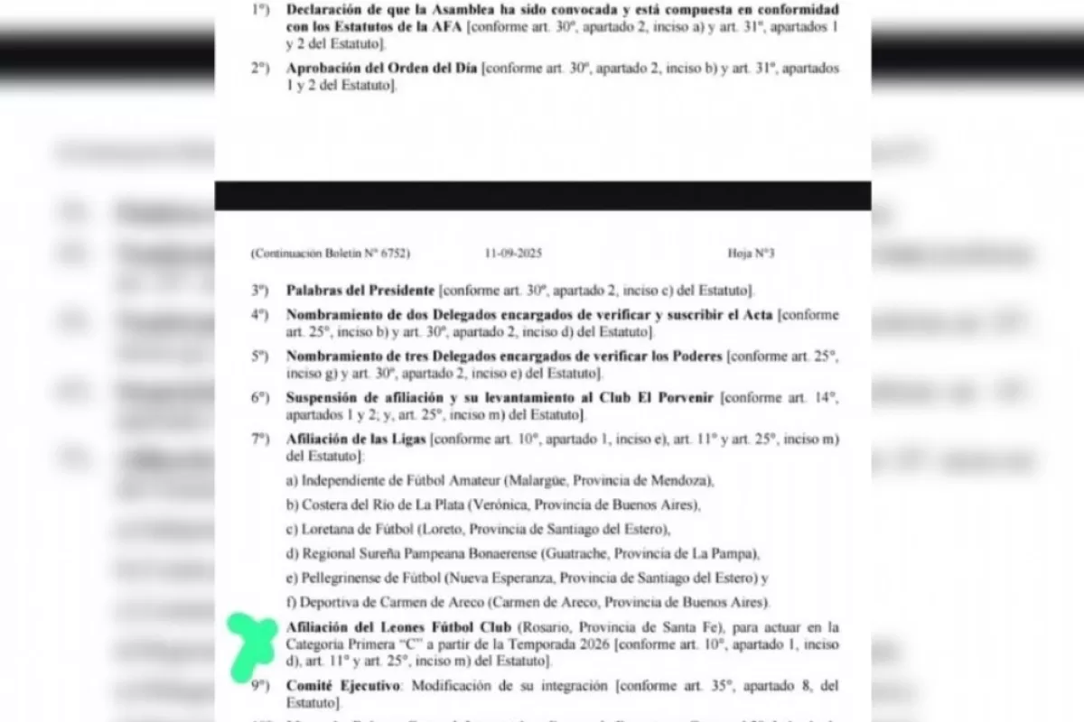 Leones de Rosario ingresará a los torneos de AFA impulsado por la familia Messi