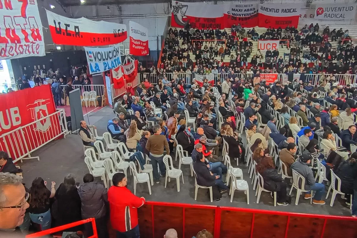 La UCR bonaerense eligi&oacute; a Pablo Nicoletti en la Convenci&oacute;n, pero 65 dirigentes se retiraron por falta de acuerdo