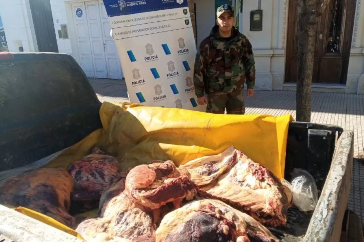 Un productor denunci&oacute; un abigeato y la investigaci&oacute;n dej&oacute; al descubierto una faena ilegal en 9 de Julio