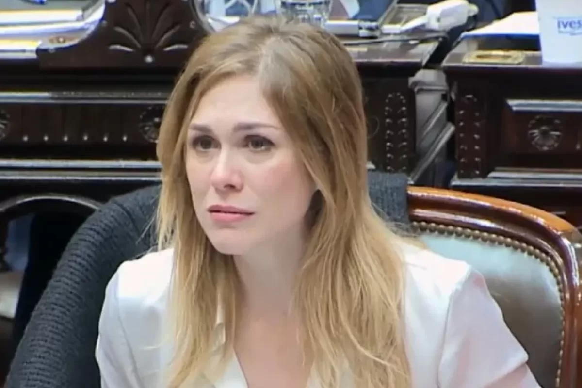 Entre internas y amenazas legales, crecen las acusaciones contra La Gestapo Karinista por avanzar contra voces libertarias