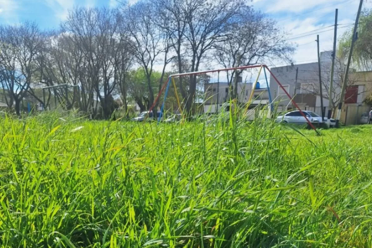 Reclamo en Aeroparque por el estado de una plaza: hamacas rotas, hierros oxidados y pastizales en Mar del Plata