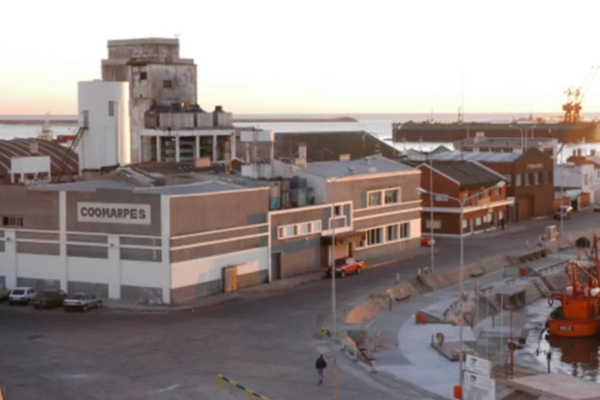 Irregularidades en el puerto de Mar del Plata: informe se&ntilde;ala que Agustiner carec&iacute;a de habilitaci&oacute;n