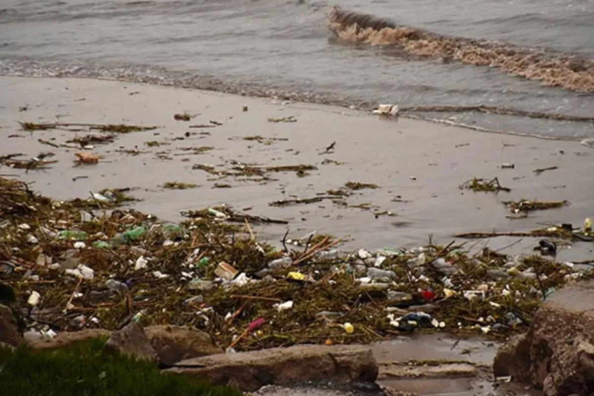 Mar del Plata aparece entre las ciudades m&aacute;s afectadas por la basura pl&aacute;stica en la costa bonaerense