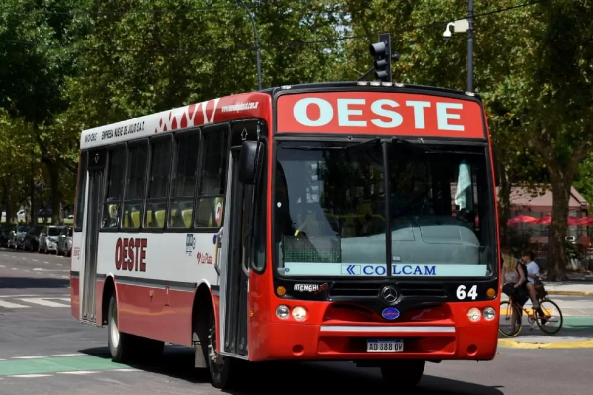 Tras una decisi&oacute;n judicial, La Plata enfrenta denuncias por sustracci&oacute;n de archivos clave en el sistema de colectivos