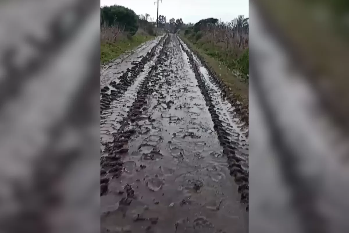 Entre barro y abandono, General Pueyrredon vuelve a quedar bajo fuego por el desastre vial en Chapadmalal