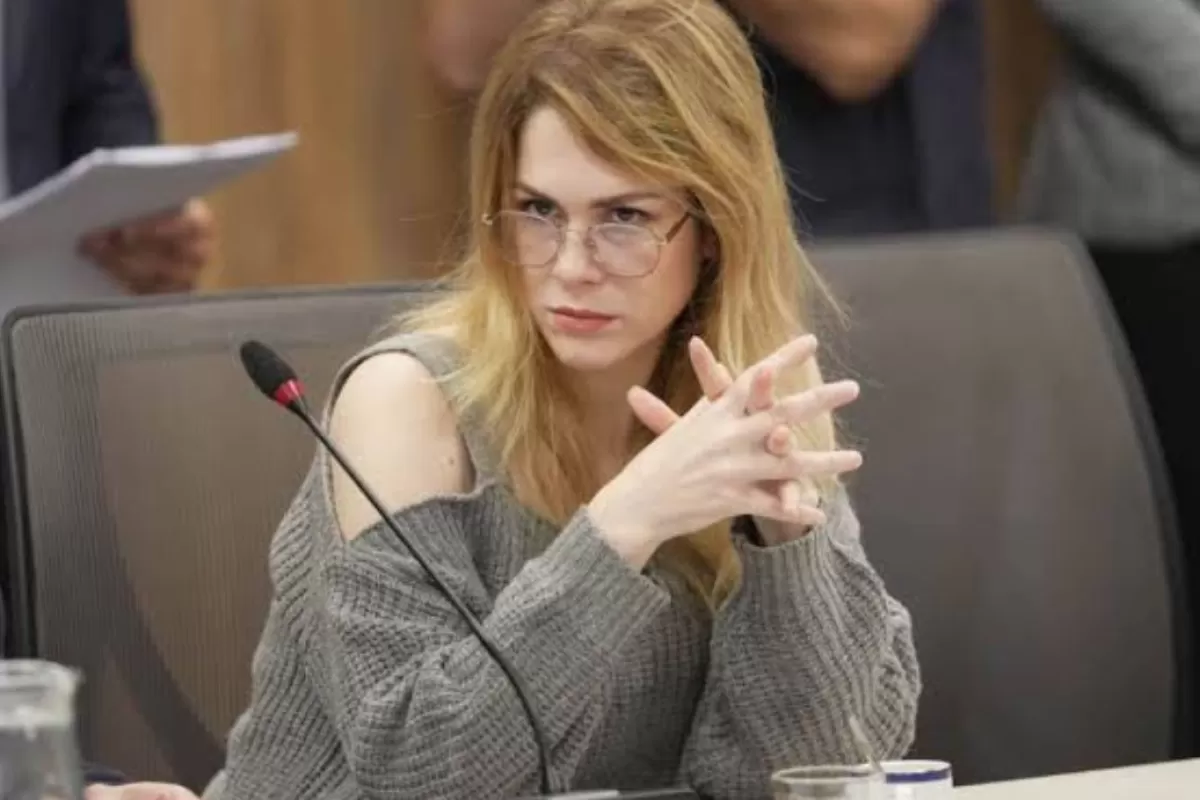 Lilia Lemoine qued&oacute; bajo la lupa por informar bienes y deudas en $0 pese a registros del Banco Central