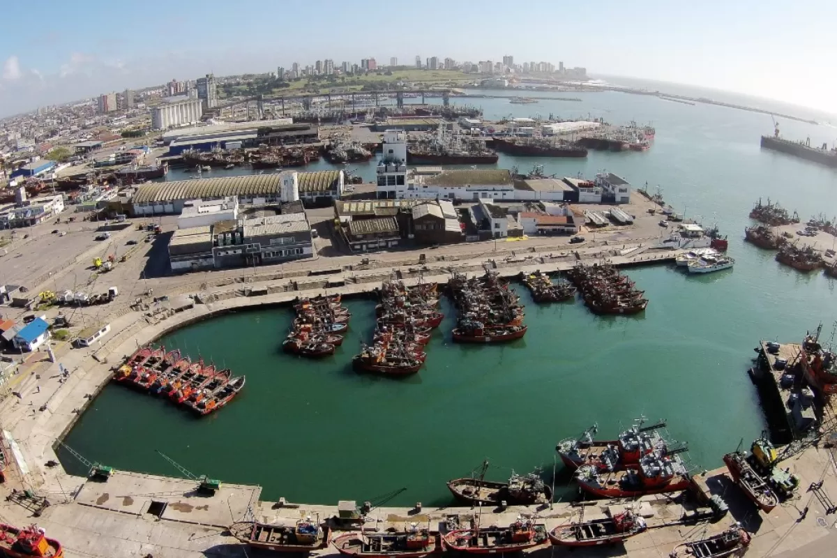 Acusan en Mar del Plata al Consorcio y a Vilar por desentenderse de controles mientras crecen riesgos sanitarios