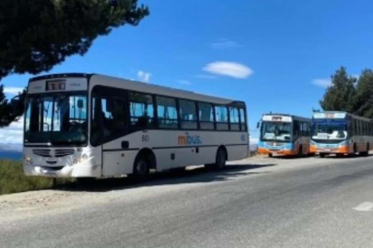 Rio Negro: Cort&eacute;s abre la billetera y Mi Bus ya recibi&oacute; casi 2 mil millones en 2026
