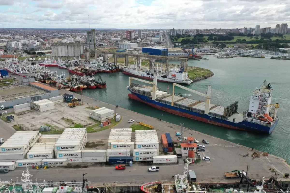 En Mar del Plata advierten que el ecosistema del puerto perdi&oacute; capacidad de recuperaci&oacute;n y exigen investigar responsabilidades