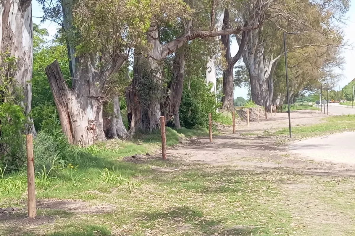 Crece en Mercedes la indignación por tomas de tierras vinculadas a funcionarios locales