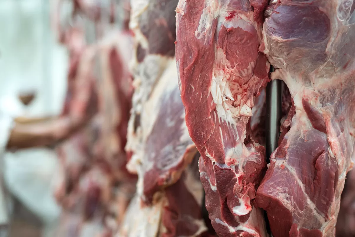 La carne subi&oacute; 75% en un a&ntilde;o y expertos advierten que los precios altos &ldquo;llegaron para quedarse&rdquo;