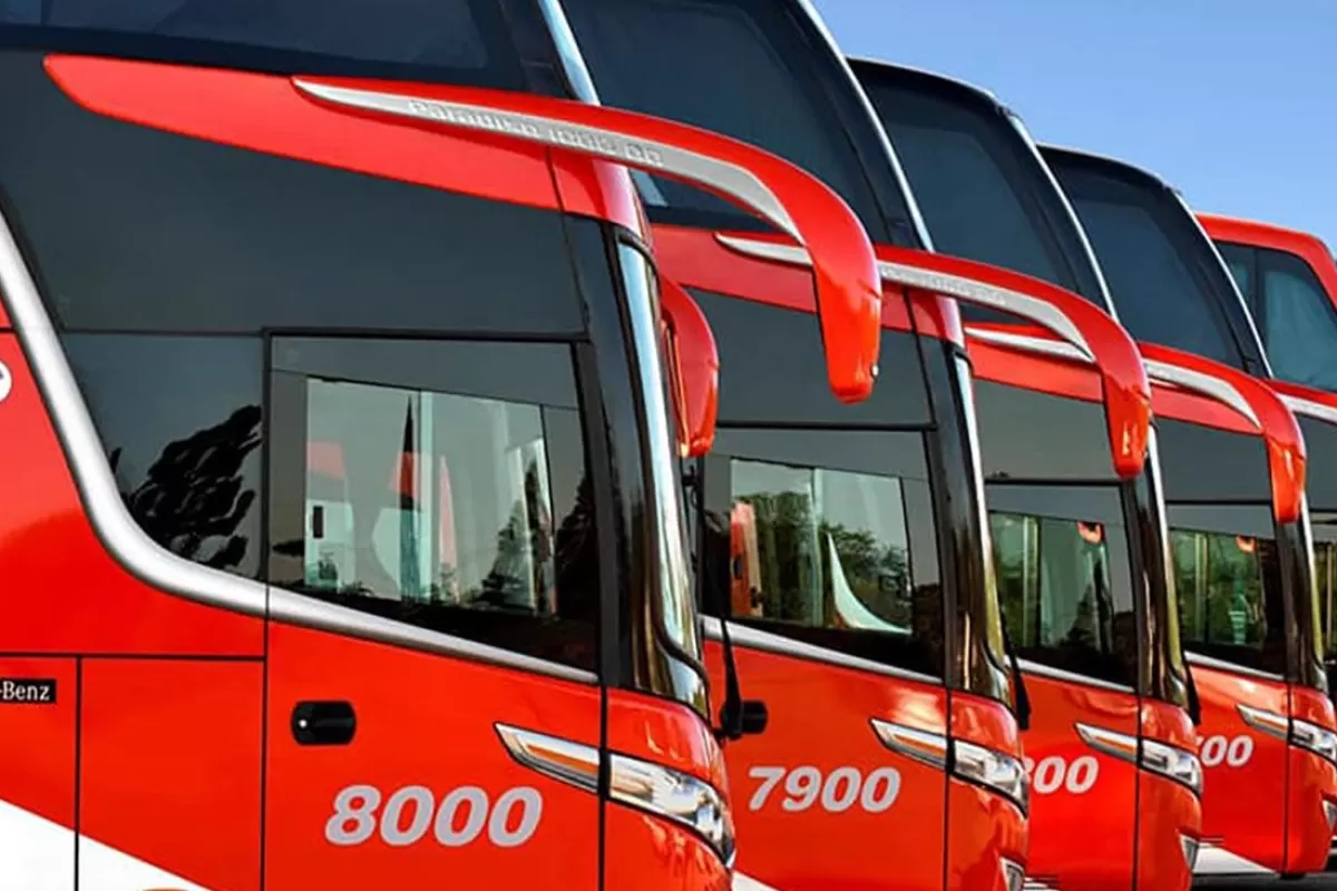 Usuarios de Nuevo Expreso denuncian negligencia y maltrato durante recorridos de larga distancia