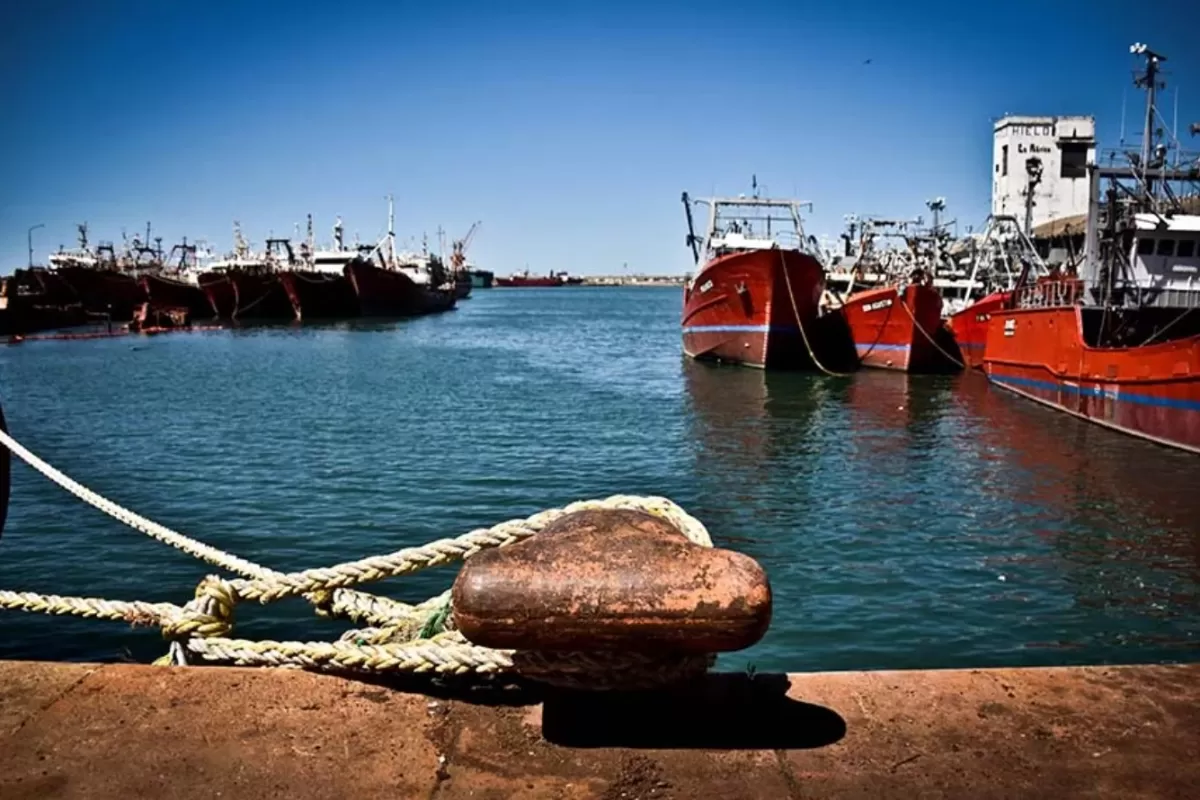 Una acusaci&oacute;n sacude a Mar del Plata al advertir que plantas pesqueras podr&iacute;an liberar contaminantes