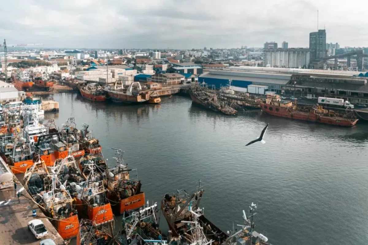 Crece la pol&eacute;mica en Mar del Plata por plantas pesqueras acusadas de liberar gases peligrosos
