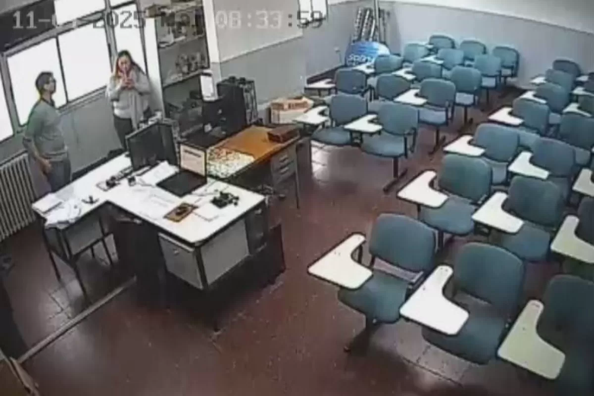 Escándalo en Mar del Plata: el sector de exámenes teóricos de conducir, paralizado y sin control