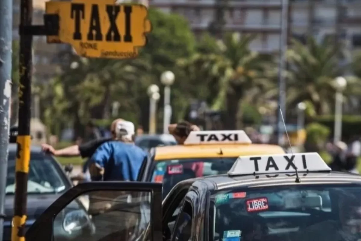 Mientras Mar del Plata espera decisiones, taxistas alertan que decenas de licencias podr&iacute;an desaparecer