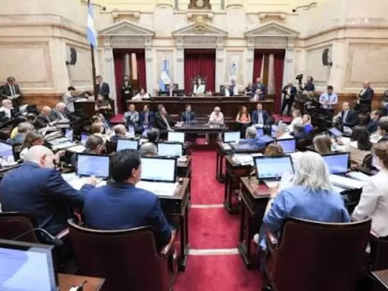 Fuerte rechazo a la reforma impulsada por el Gobierno por el posible avance sobre recursos estrat&eacute;gicos