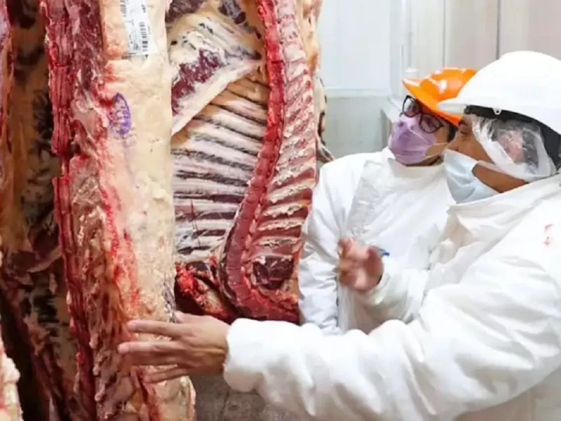 China impone arancel del 55% y cupos a la carne vacuna: impacto directo para Argentina