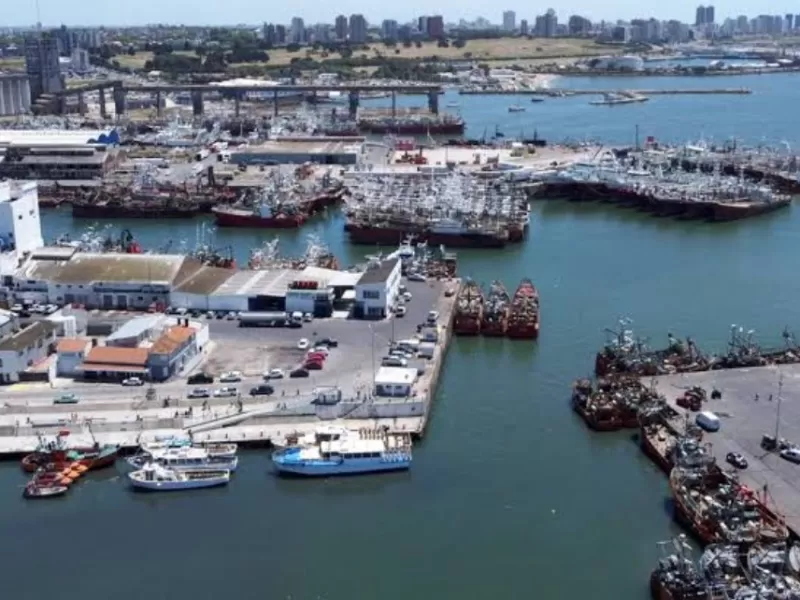 Mar del Plata enfrenta otra vez la sombra de la contaminaci&oacute;n de las harineras del puerto