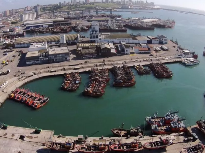 Detectan en el Puerto de Mar del Plata niveles extremos de un contaminante ligado a la actividad pesquera