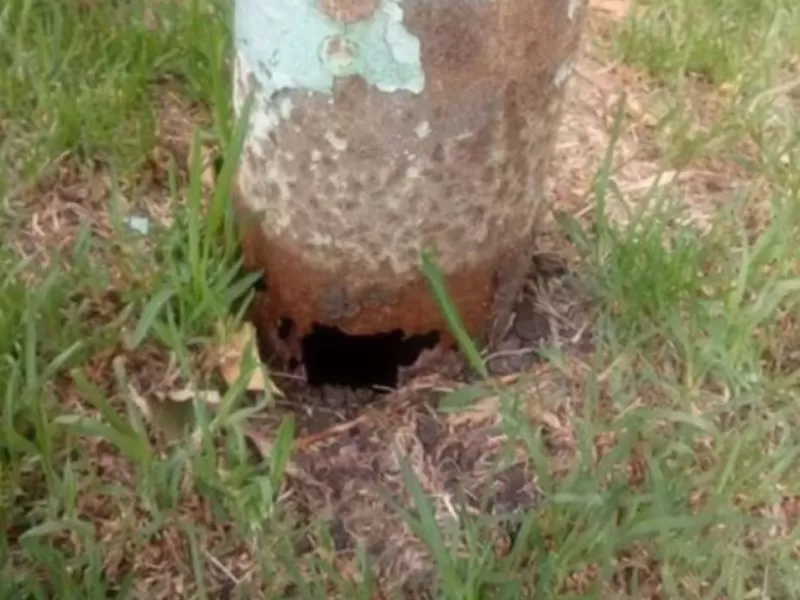 Determinan responsabilidad del municipio de Mar del Plata por el colapso de un poste que destruy&oacute; parte de un auto