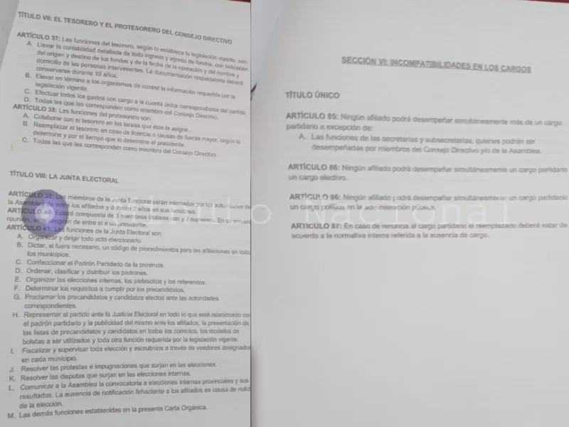 Polémica en Chubut por presunta infracción de estatutos dentro del Partido Libertario