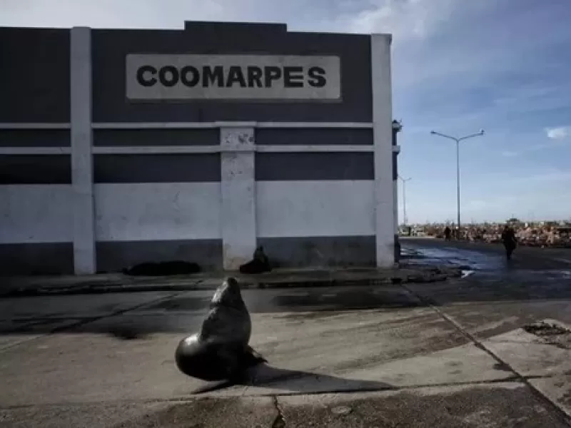 Otra pol&eacute;mica golpea al puerto de Mar del Plata tras un nuevo video de Roberto Maturana