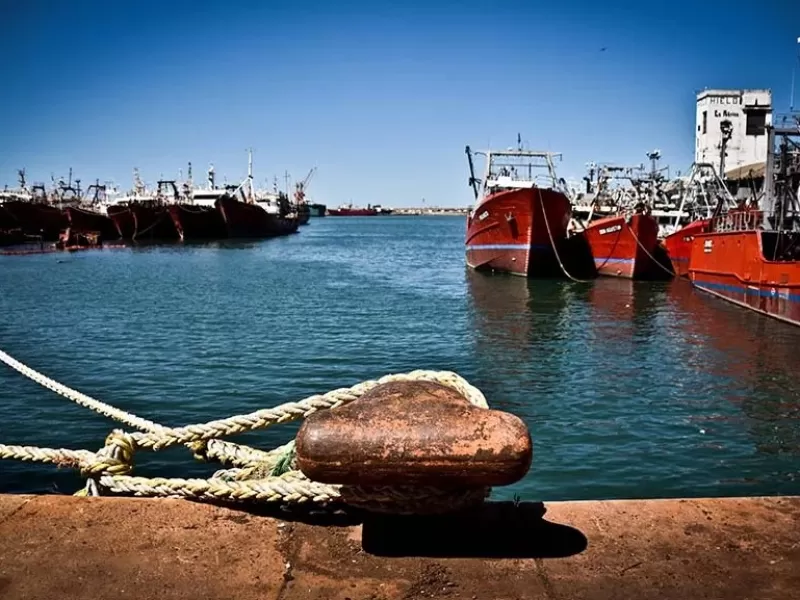 Niveles de cobre y zinc detectados en Mar del Plata reavivan sospechas sobre contaminaci&oacute;n portuaria