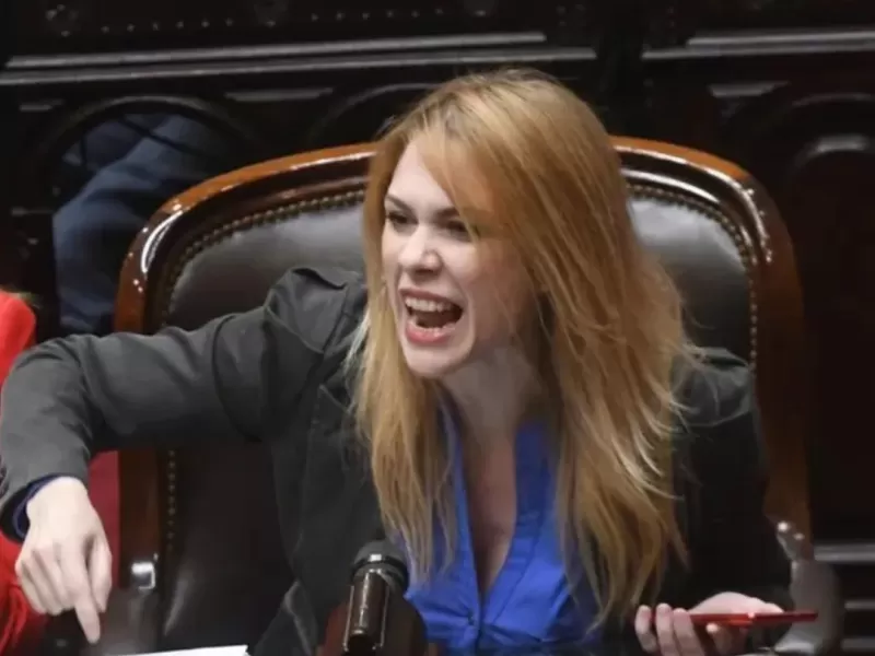 Error básico de Lemoine sobre seguridad fronteriza genera críticas