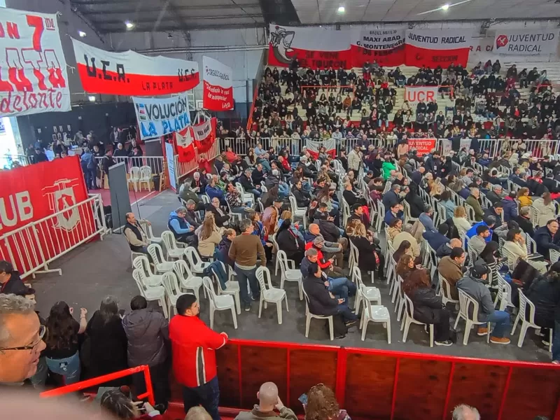 La UCR bonaerense eligi&oacute; a Pablo Nicoletti en la Convenci&oacute;n, pero 65 dirigentes se retiraron por falta de acuerdo