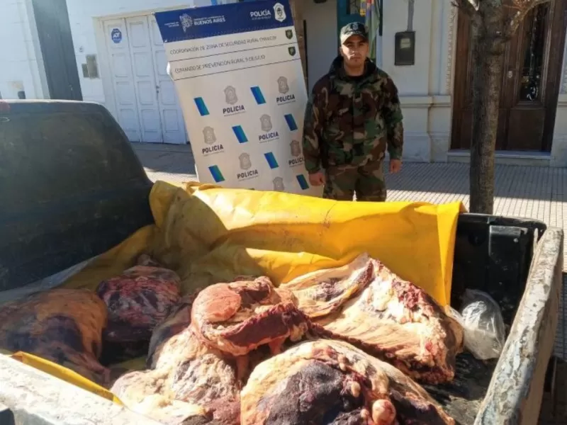 Un productor denunci&oacute; un abigeato y la investigaci&oacute;n dej&oacute; al descubierto una faena ilegal en 9 de Julio