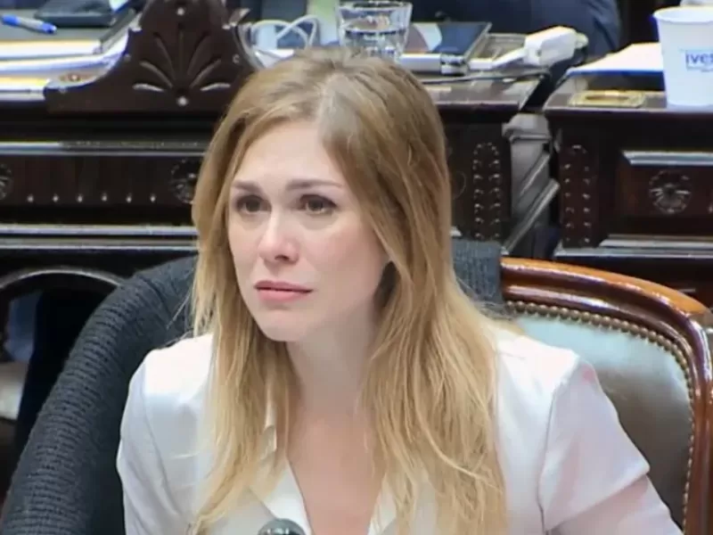 Entre internas y amenazas legales, crecen las acusaciones contra La Gestapo Karinista por avanzar contra voces libertarias