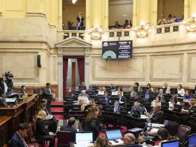 Un vecino reclam&oacute; que la Zona Fr&iacute;a no pierda beneficios y exigi&oacute; al Senado rechazar cambios en la normativa