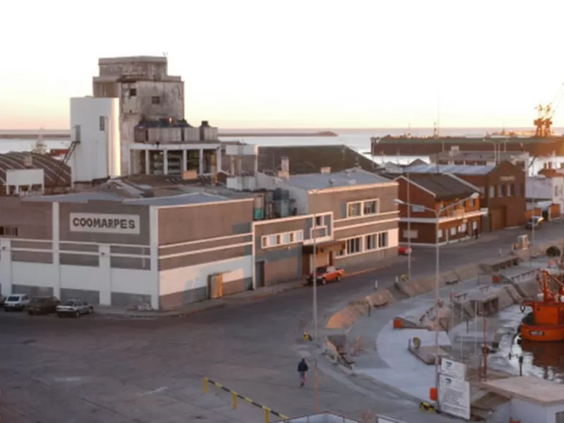 Irregularidades en el puerto de Mar del Plata: informe se&ntilde;ala que Agustiner carec&iacute;a de habilitaci&oacute;n