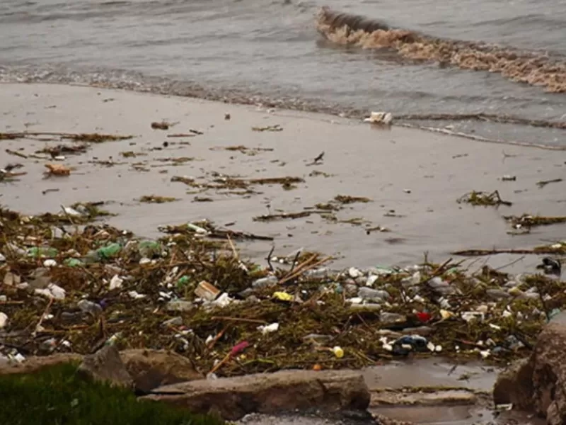 Mar del Plata aparece entre las ciudades m&aacute;s afectadas por la basura pl&aacute;stica en la costa bonaerense