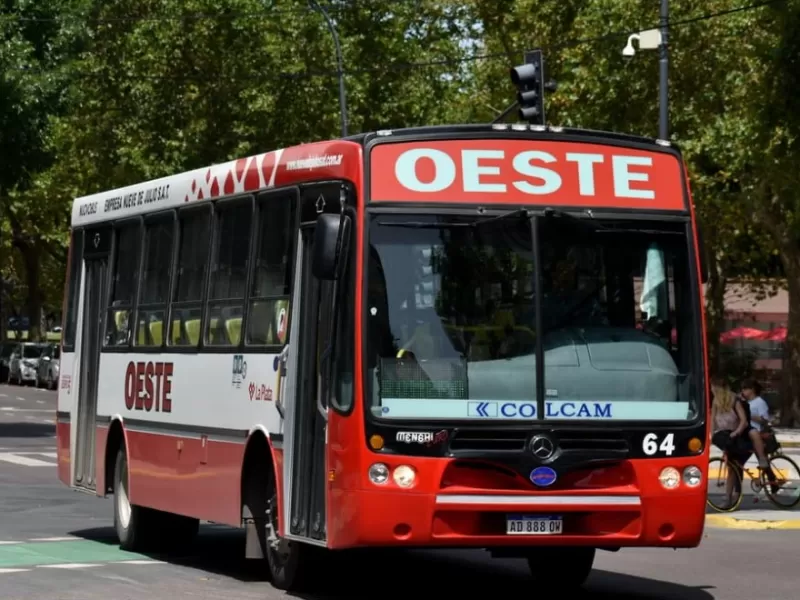 Tras una decisi&oacute;n judicial, La Plata enfrenta denuncias por sustracci&oacute;n de archivos clave en el sistema de colectivos