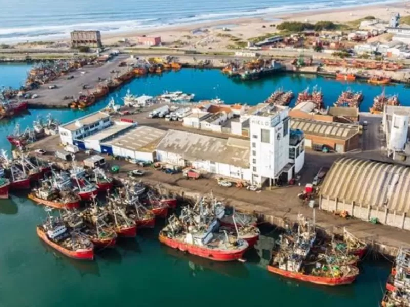 Piden que la Justicia investigue en Mar del Plata si dos pesqueras ahorraron millones sin tratar correctamente sus residuos
