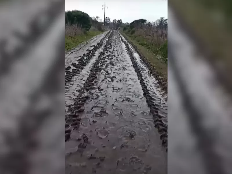 Entre barro y abandono, General Pueyrredon vuelve a quedar bajo fuego por el desastre vial en Chapadmalal