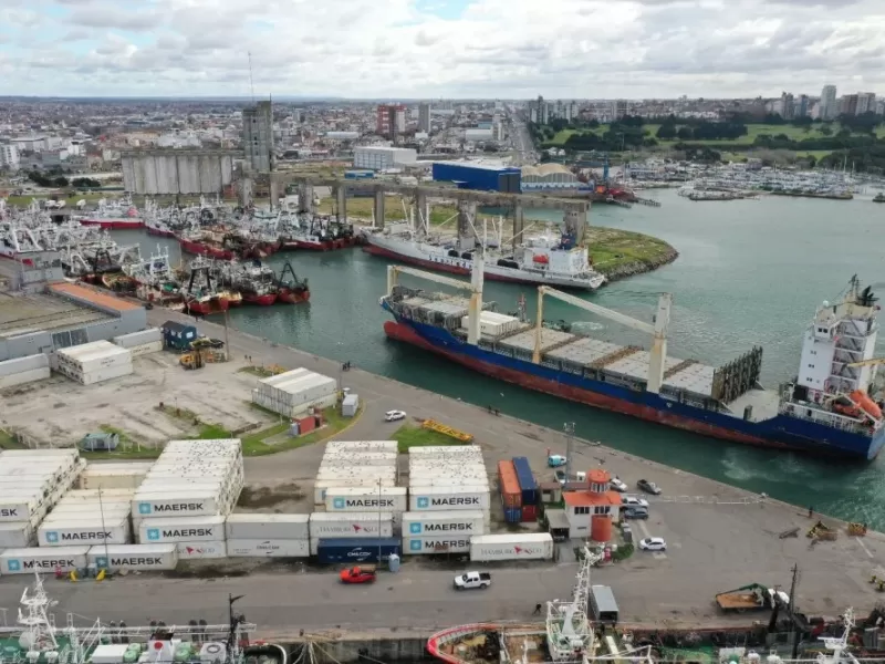 En Mar del Plata advierten que el ecosistema del puerto perdi&oacute; capacidad de recuperaci&oacute;n y exigen investigar responsabilidades