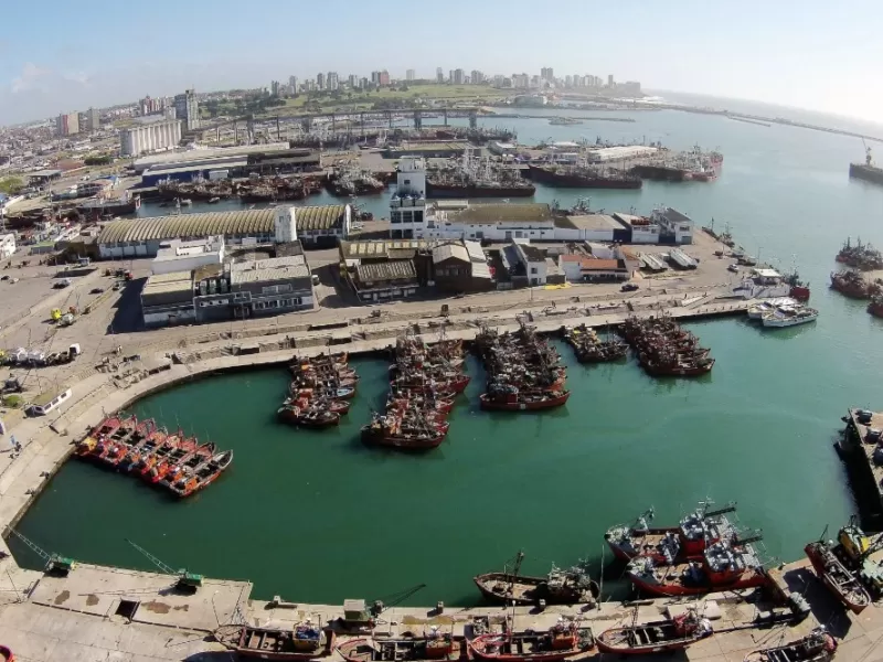 Tras d&eacute;cadas de denuncias, Mar del Plata no logra esclarecer la contaminaci&oacute;n vinculada a harineras y actividad pesquera