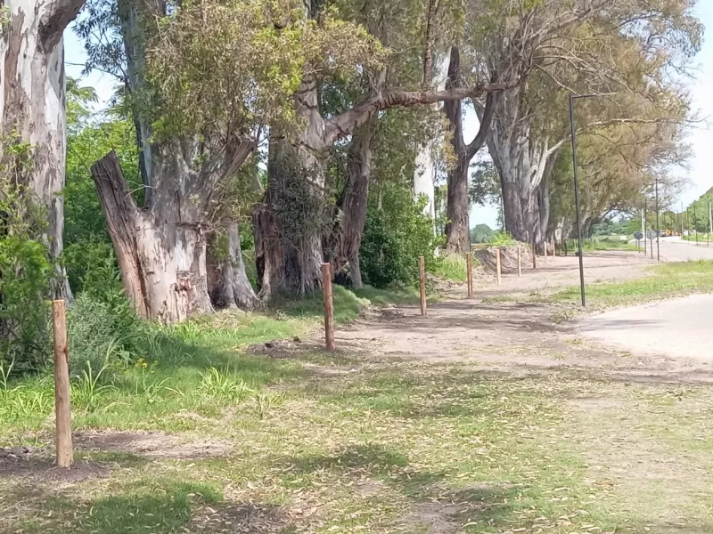 Crece en Mercedes la indignación por tomas de tierras vinculadas a funcionarios locales